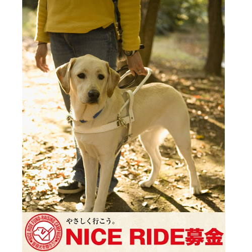 社会貢献基金への寄付